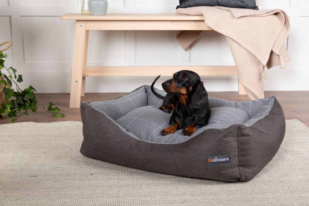 Walksters Buckingham Luxury Dog Bed in Dark Grey