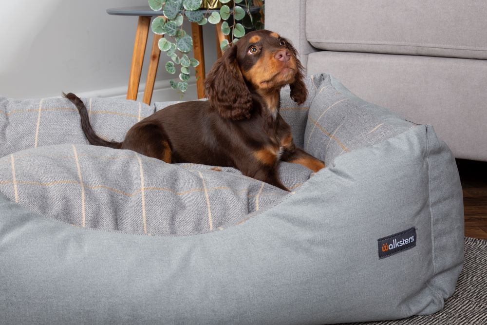 Walksters Buckingham Luxury Dog Bed in Grey Check