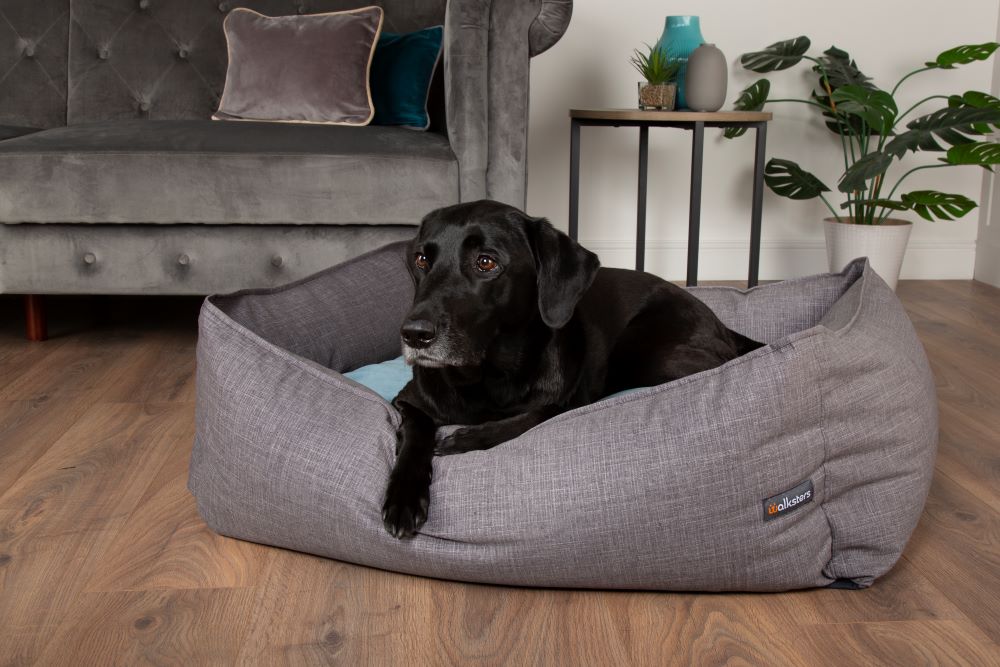 Walksters Lincoln Luxury Dog Bed in Grey