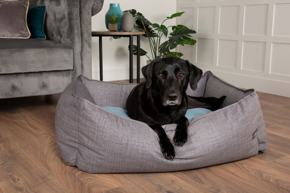 Walksters Lincoln Luxury Dog Bed in Grey Treat Your Dog