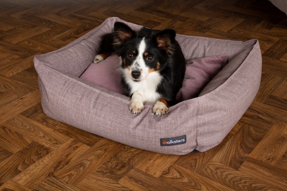 Walksters Lincoln Luxury Dog Bed in Lavender