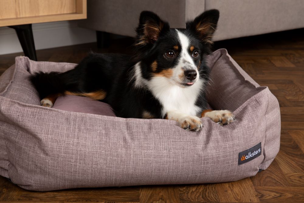Walksters Lincoln Luxury Dog Bed in Lavender
