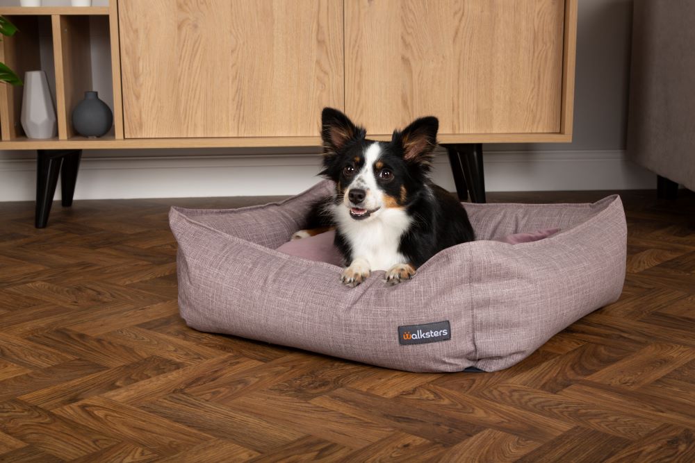 Walksters Lincoln Luxury Dog Bed in Lavender