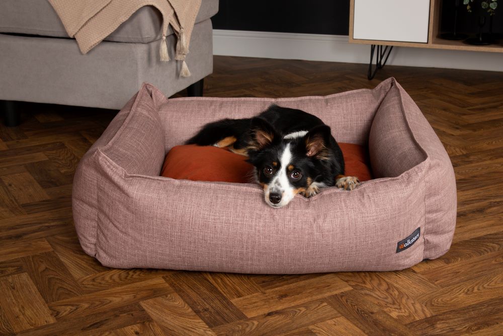 Walksters Lincoln Luxury Dog Bed in Rust