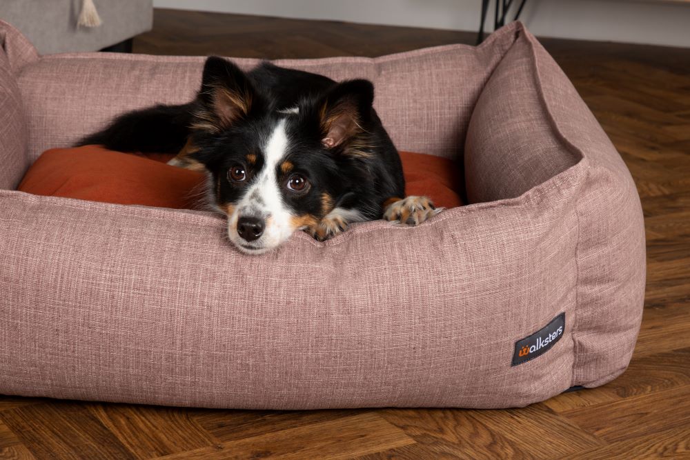 Walksters Lincoln Luxury Dog Bed in Rust