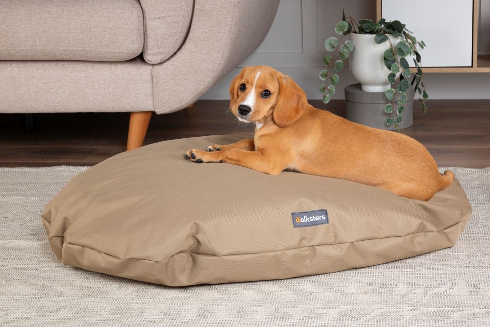 Walksters Oval Waterproof Memory Foam Dog Bed Cushion in Beige