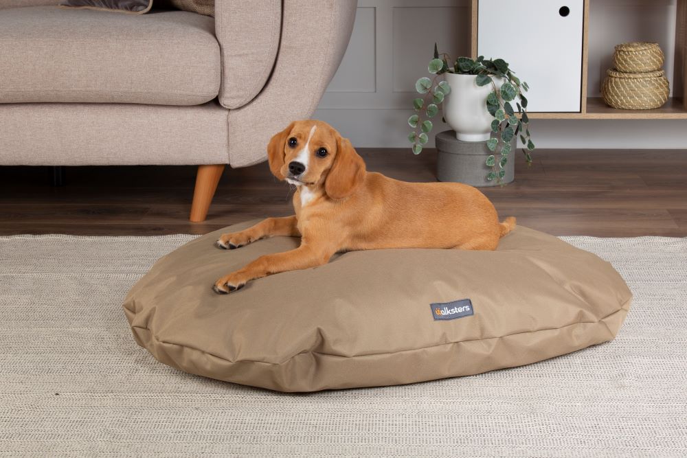 Walksters Oval Waterproof Memory Foam Dog Bed Cushion in Beige