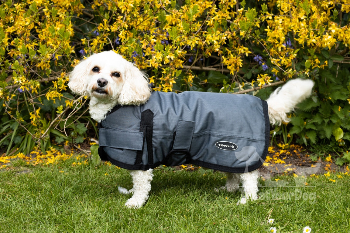 Waterproof Dog Coats UK Dog Coat Specialists Treat Your Dog