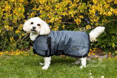 Waterproof Dog Coats :: UK Dog Coat Specialists :: Treat Your Dog