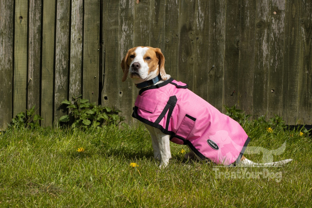 Pink waterproof clearance dog coat
