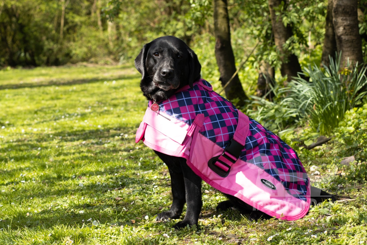 All Seasons Waterproof Dog Coat in Pink Check
