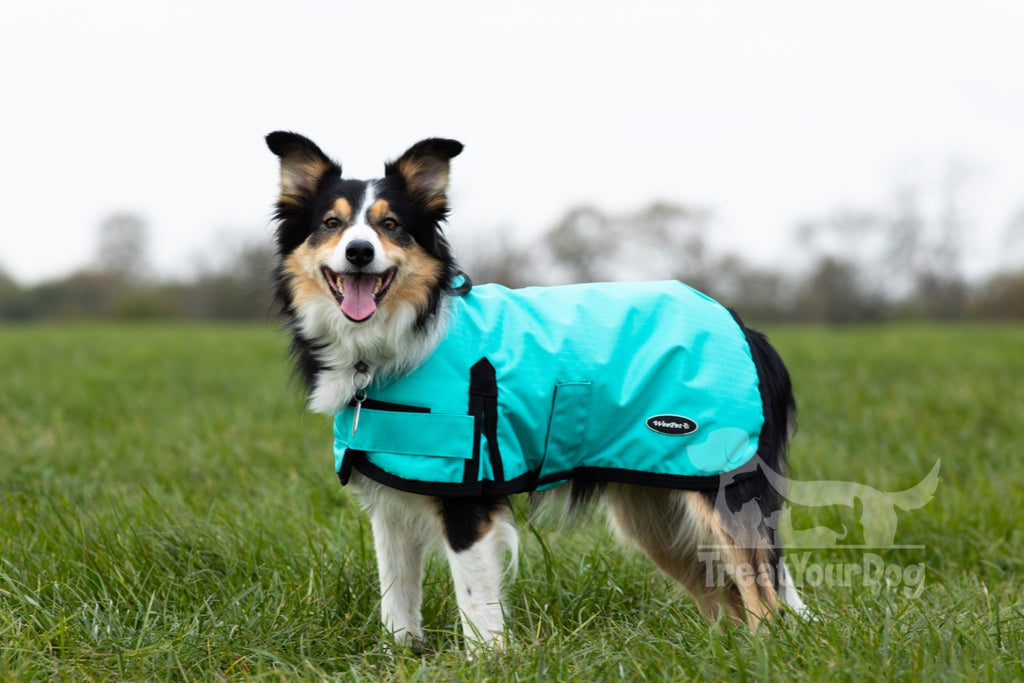 Waterproof Dog Coat in Turquoise Blue All Seasons Treat Your Dog