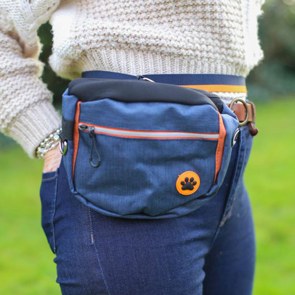 Dog Walking Bag in Navy Blue