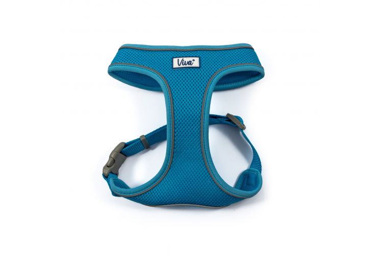 Comfort Harness/Car Harness for Dogs in Blue