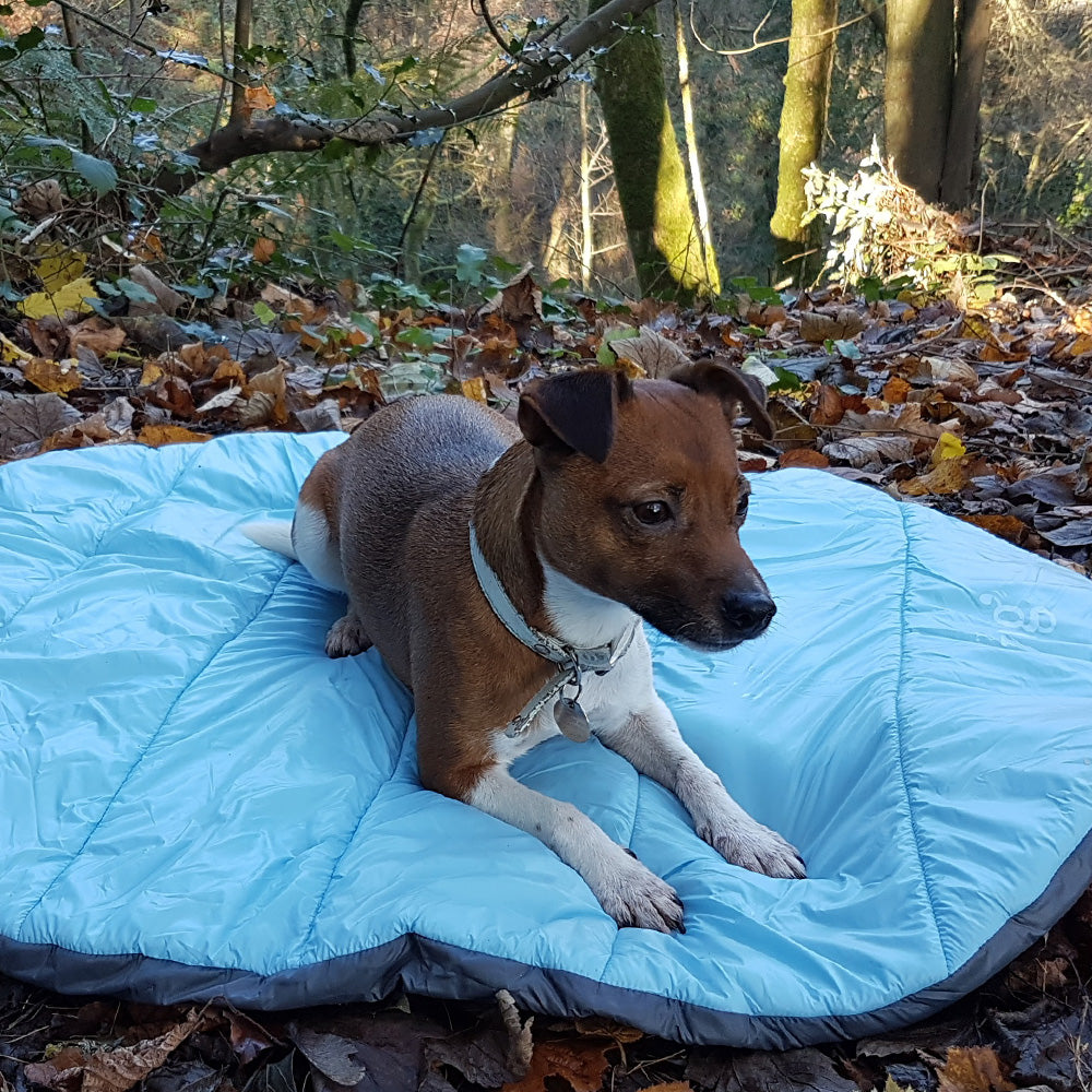 Henry Wagg Alpine Travel Snuggle Bed