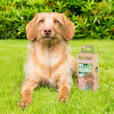 Beco Compostable Dog Poop Bags