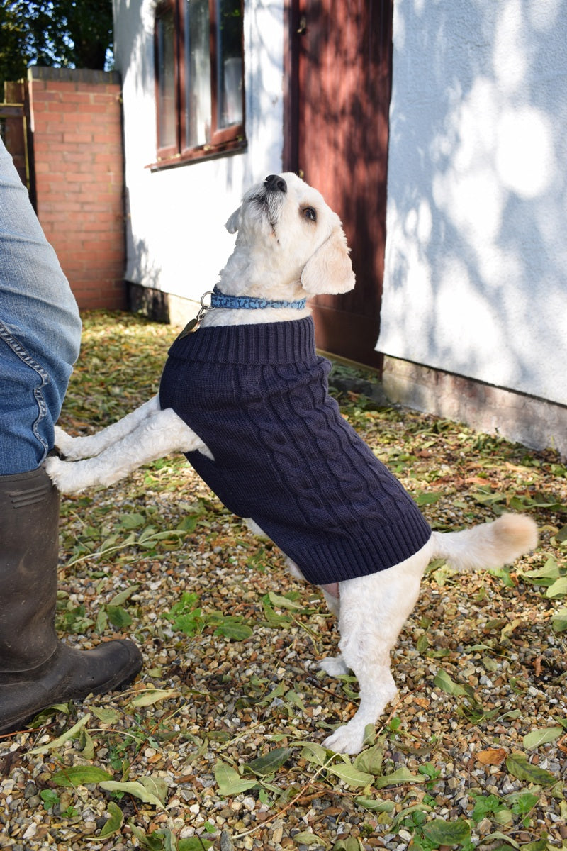 Buster & Beau Cable Knit Dog Jumper in Deep Blue