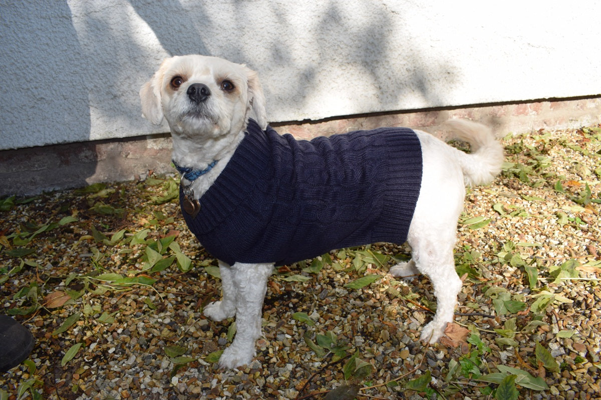 Buster & Beau Cable Knit Dog Jumper in Deep Blue