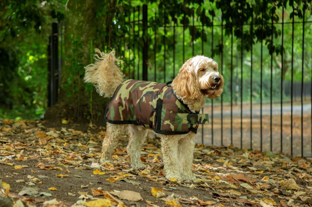 All Seasons Waterproof Dog Coat in Camouflage