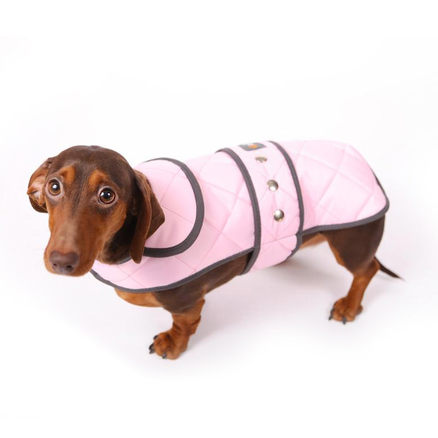Walksters Dachshund Premium Quilted Coat in Pink