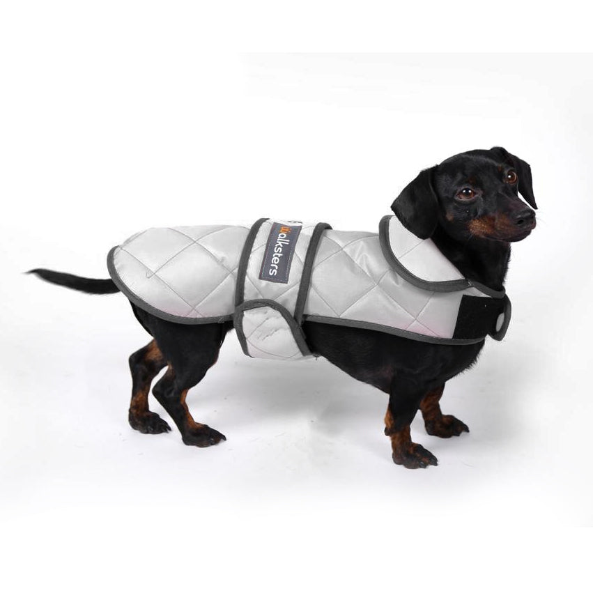 Walksters Dachshund Premium Quilted Coat in Grey