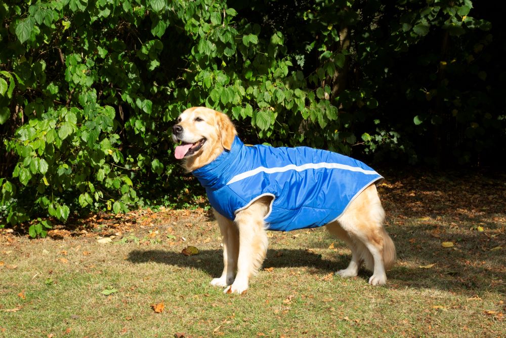 Walksters Fleece Lined Waterproof Dog Coat in Blue