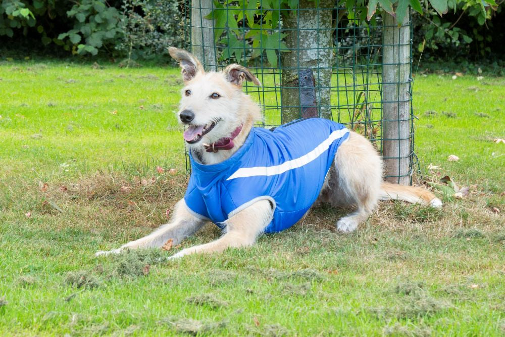 Walksters Fleece Lined Waterproof Dog Coat in Blue