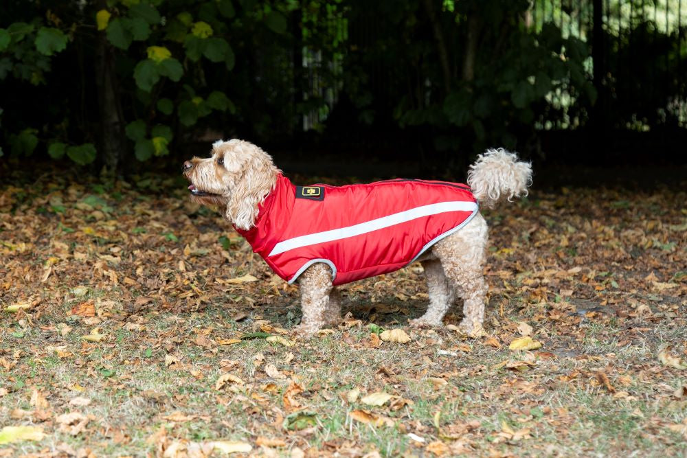 Walksters Fleece lined Waterproof Coat