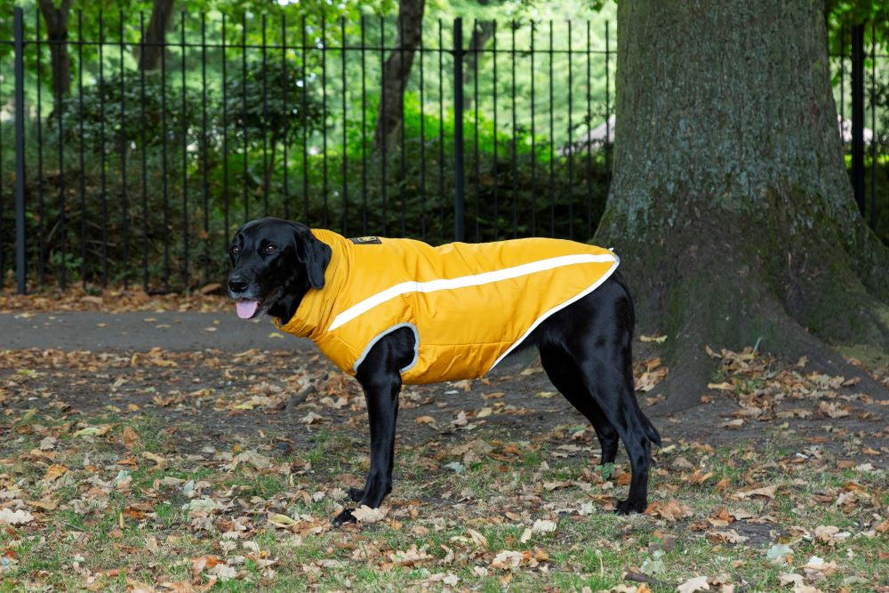 Walksters Fleece Lined Waterproof Dog Coat in Yellow