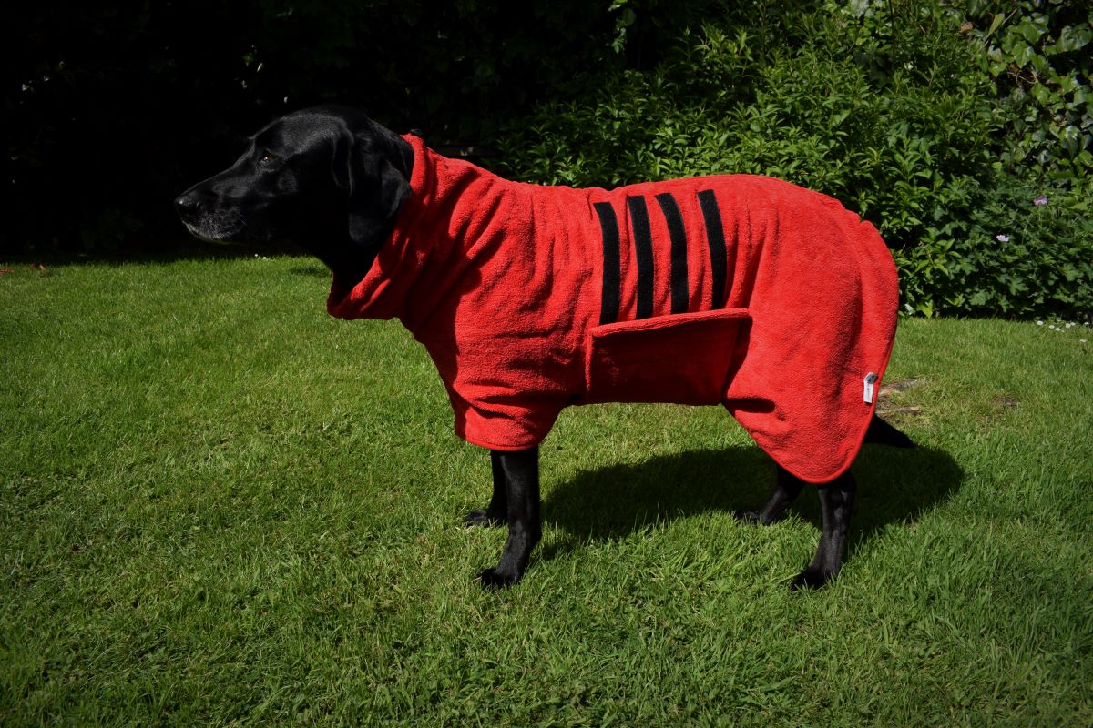 Walksters Microfibre Dog Drying Coat in Red