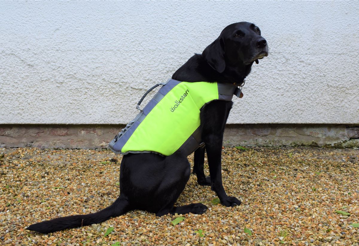 Dog Life Jacket by Walksters