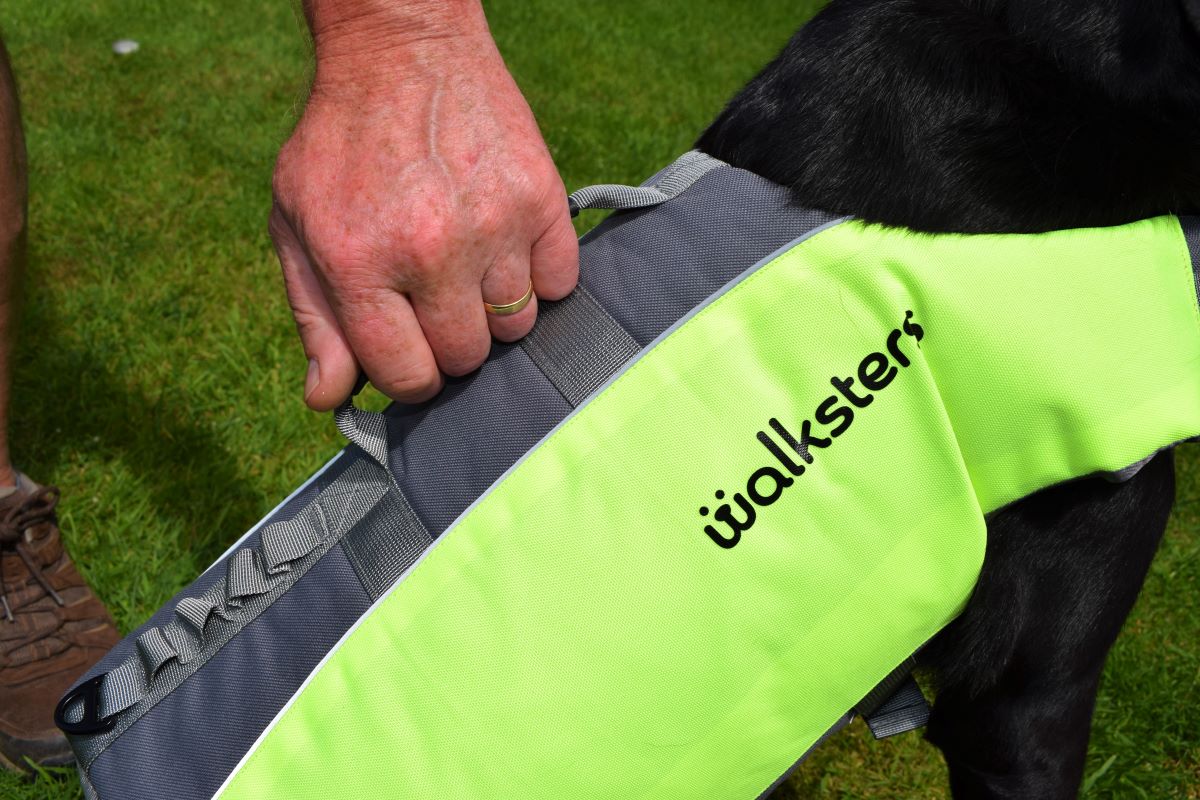 Dog Life Jacket by Walksters