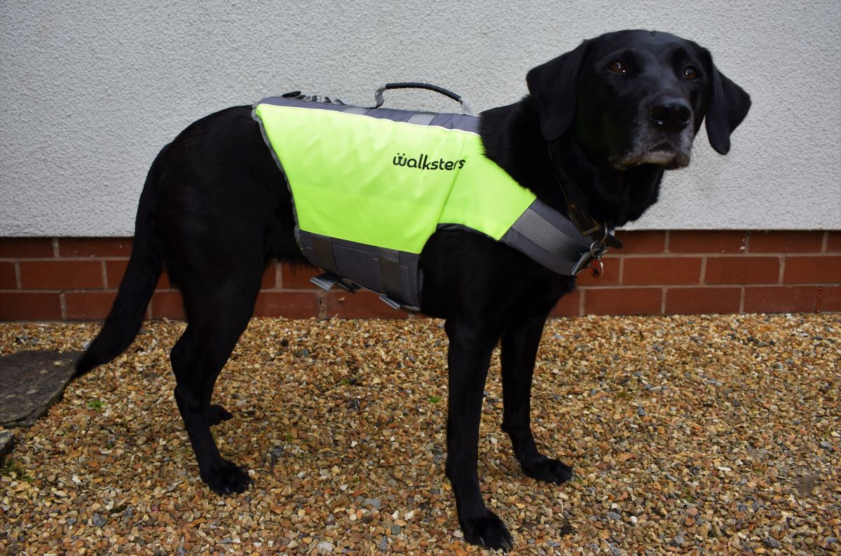 Dog Life Jacket by Walksters