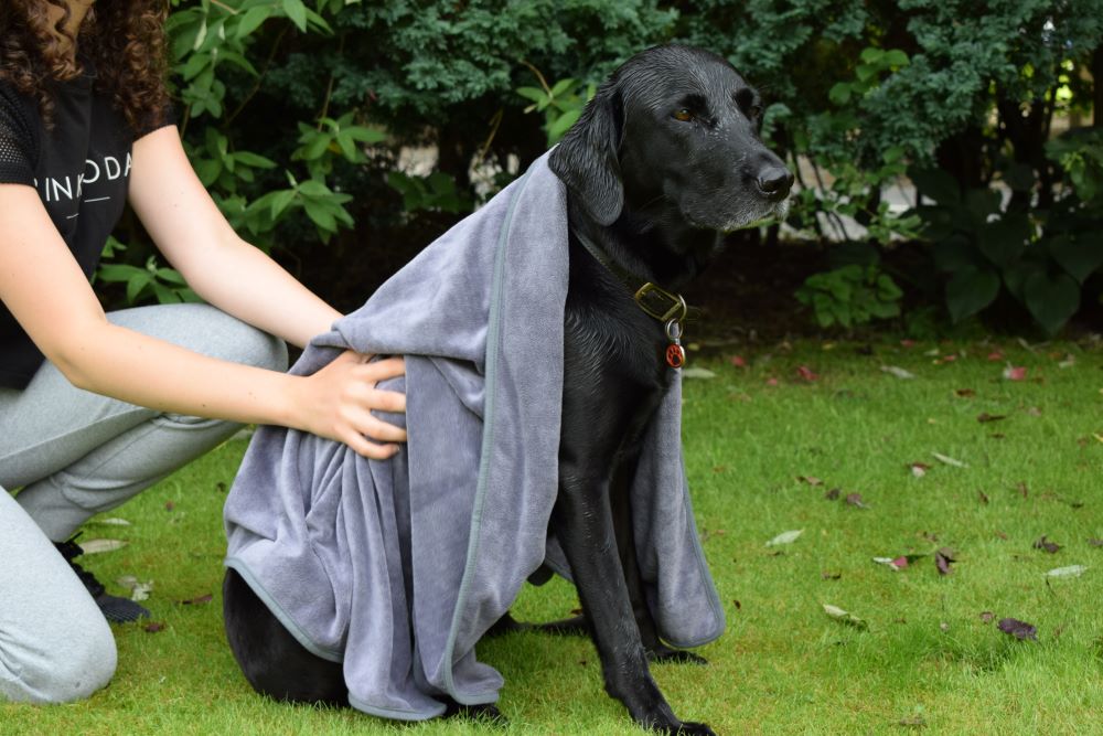 Walksters Microfibre Pet Dog Cleaning & Drying Towel