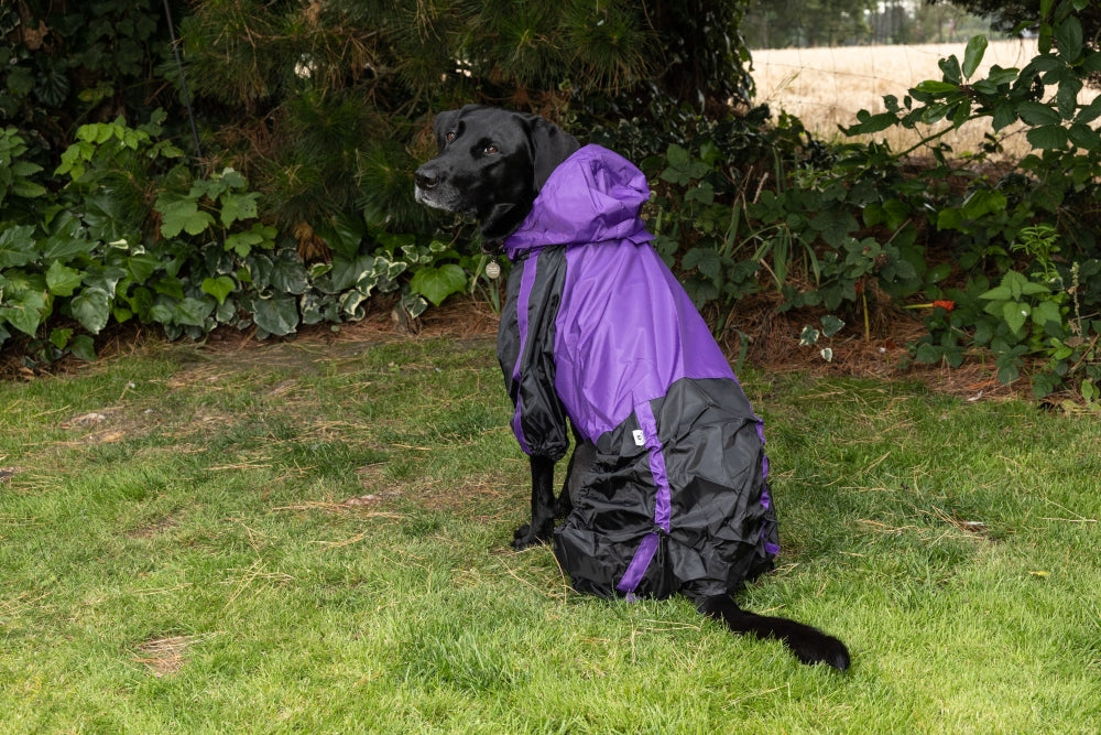 Waterproof Dog Coat with legs in Purple Black