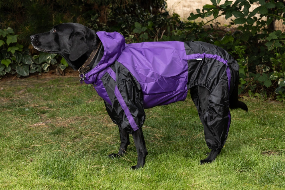 Waterproof Dog Coat with legs in Purple Black