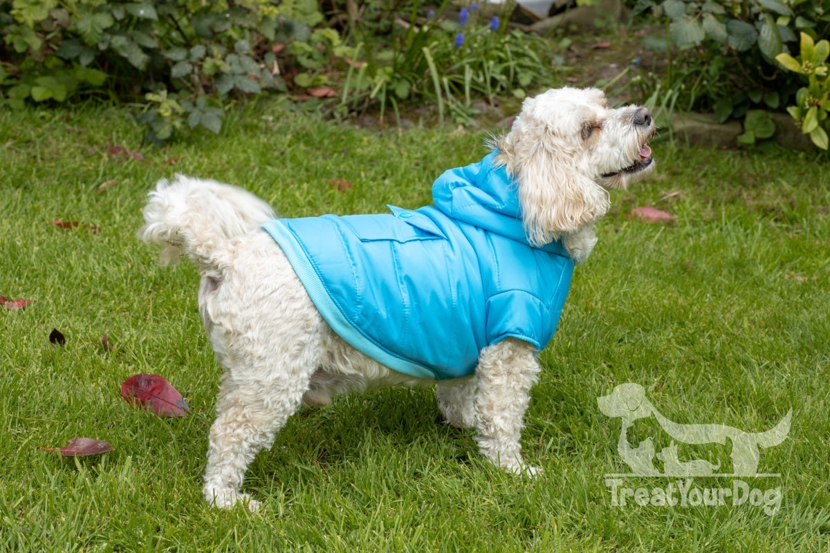 Blue Parka Dog Coat