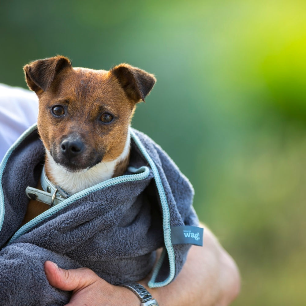 Microfibre Pet Dog Cleaning & Drying Towel