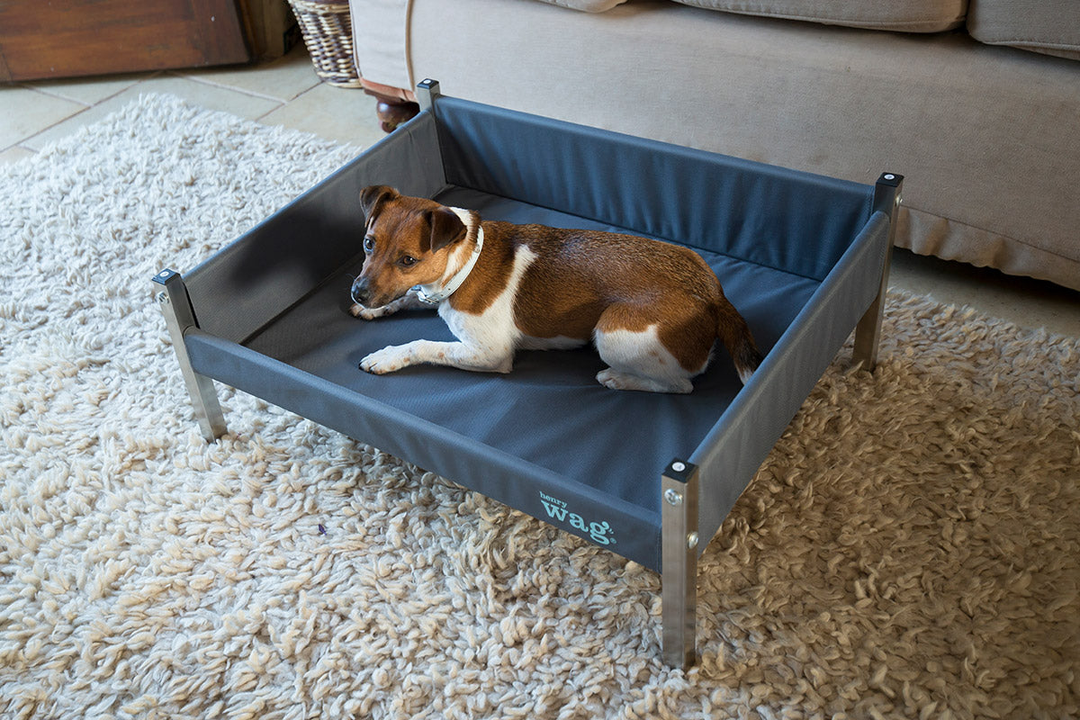 Elevated dog bed