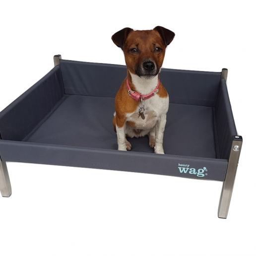 Elevated dog bed