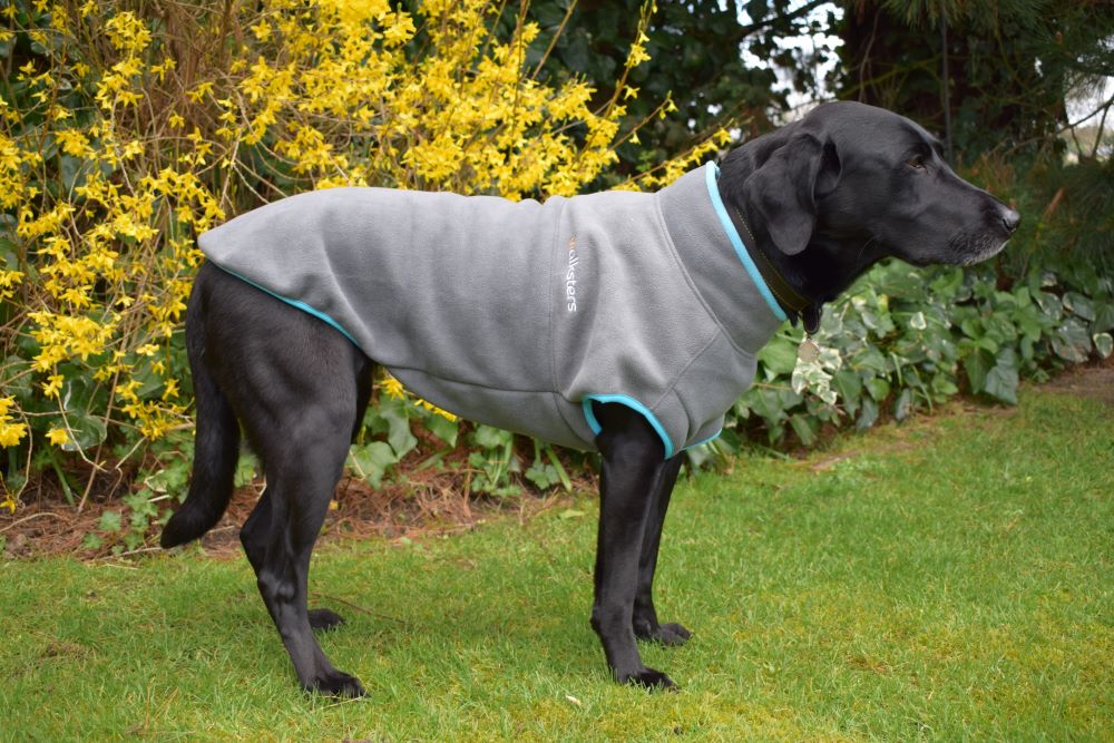 Walksters Dog Fleece Jumper in Grey