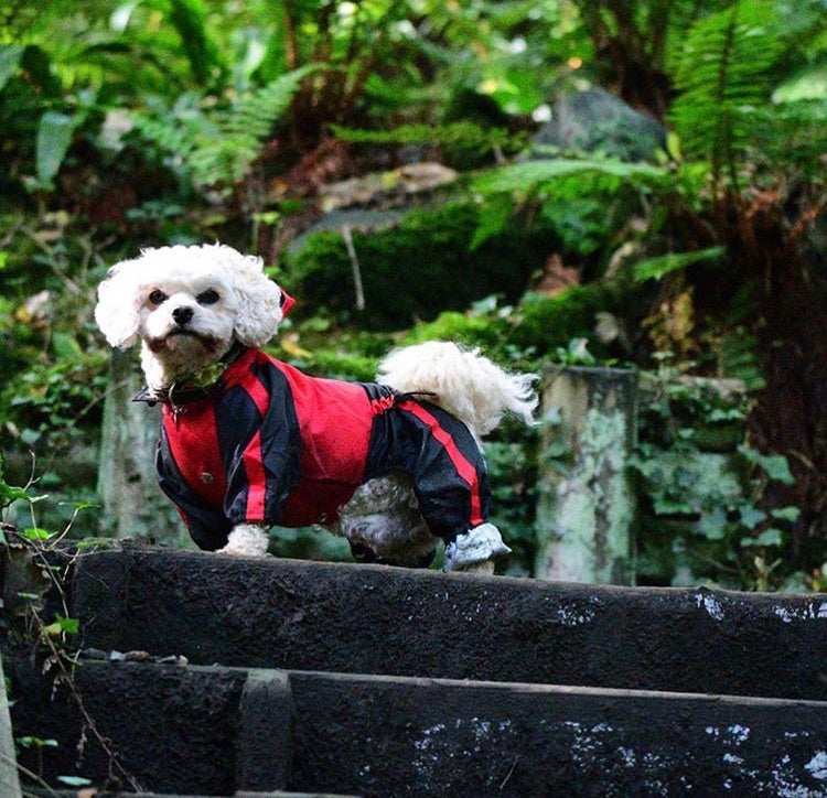 Waterproof Dog Coat with legs in Red Black