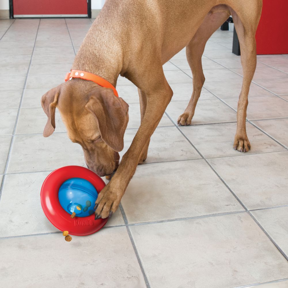 KONG Gyro Dog Treat Toy