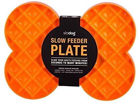 Slodog Slow Feeding Plate