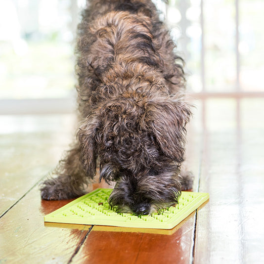 Lickimat Treat Mat for Dogs