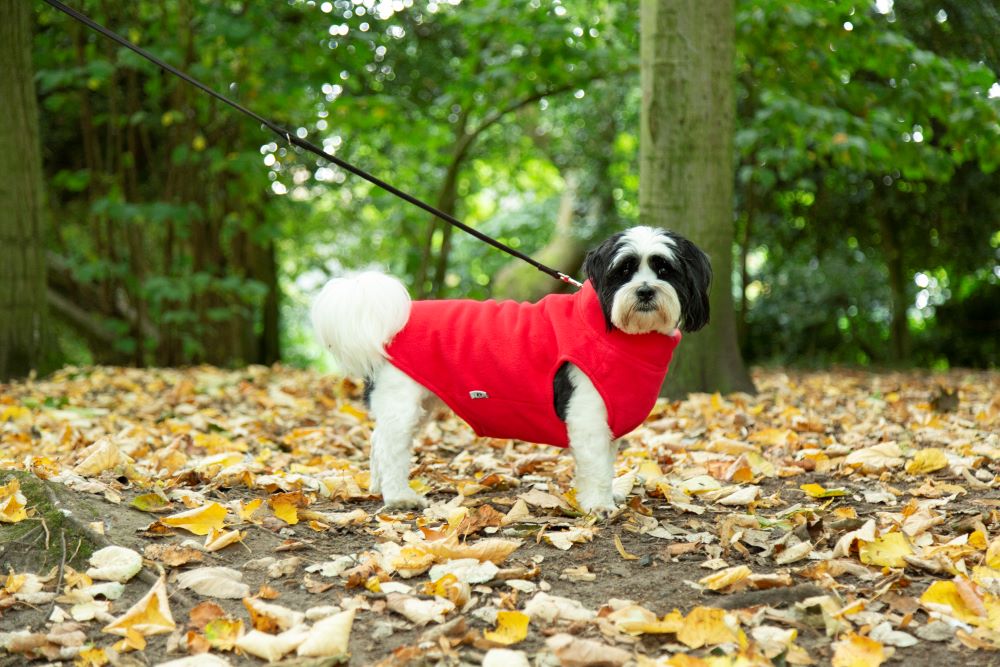 Fleece Vest for Dogs in Red
