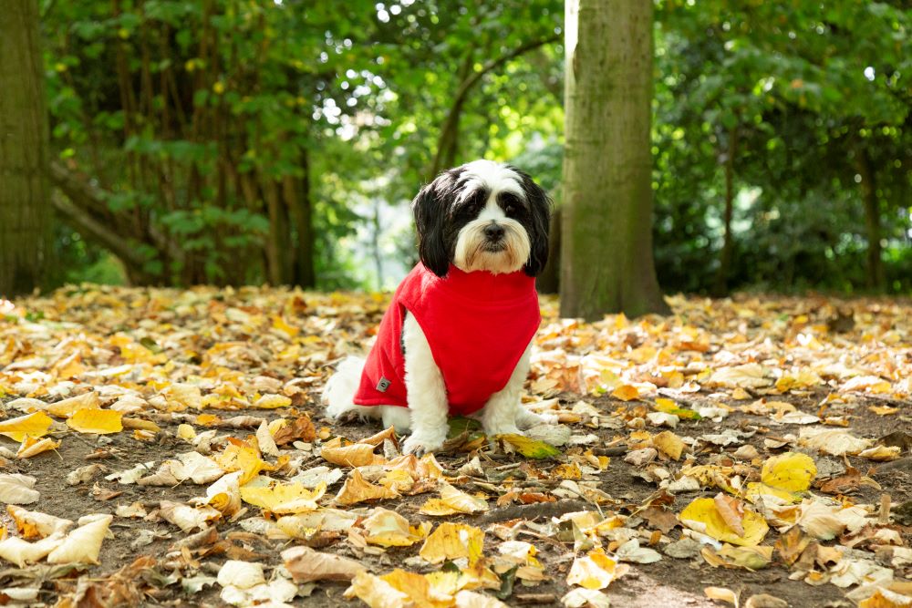 Fleece Vest for Dogs in Red