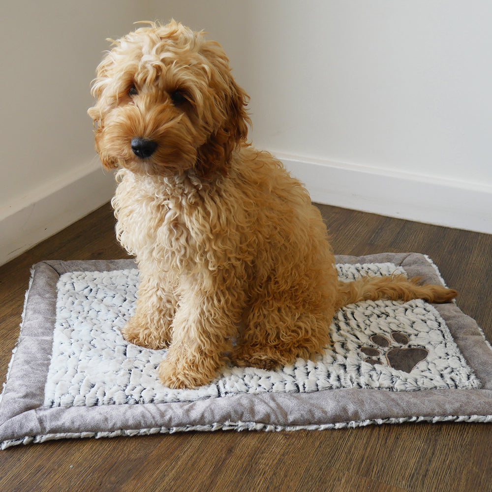 Luxury Fleece Lined Grey Blanket