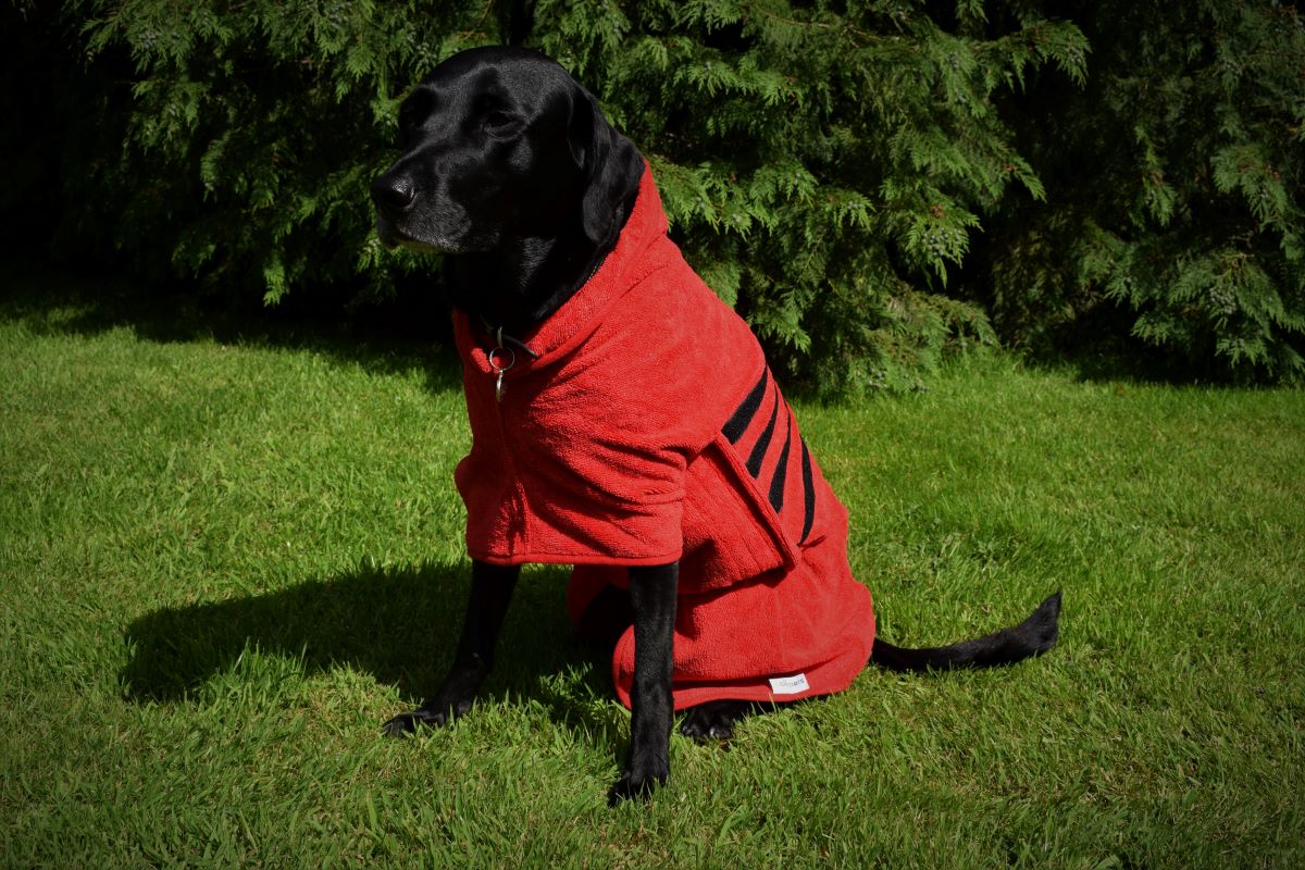 Walksters Microfibre Dog Drying Coat in Red