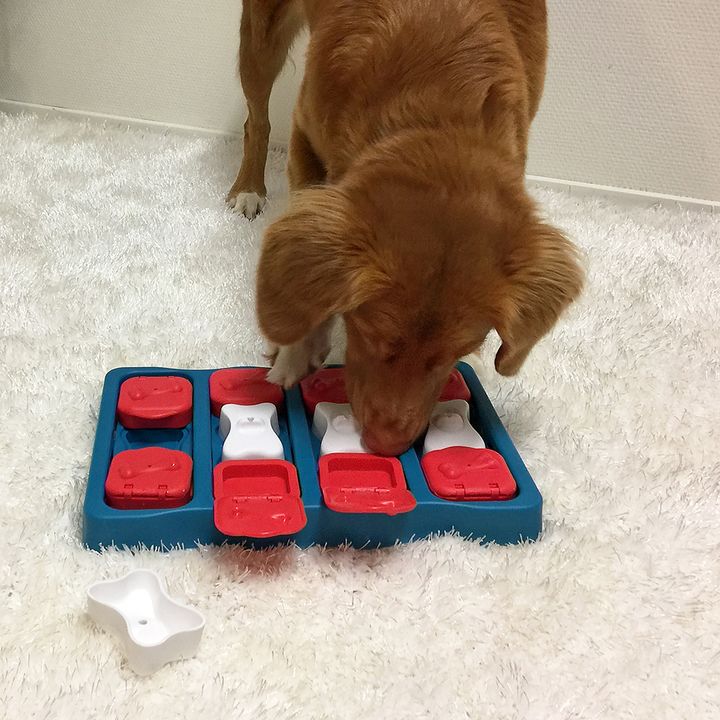 Dog Brick Treat Dispensing Dog Toy Feeder